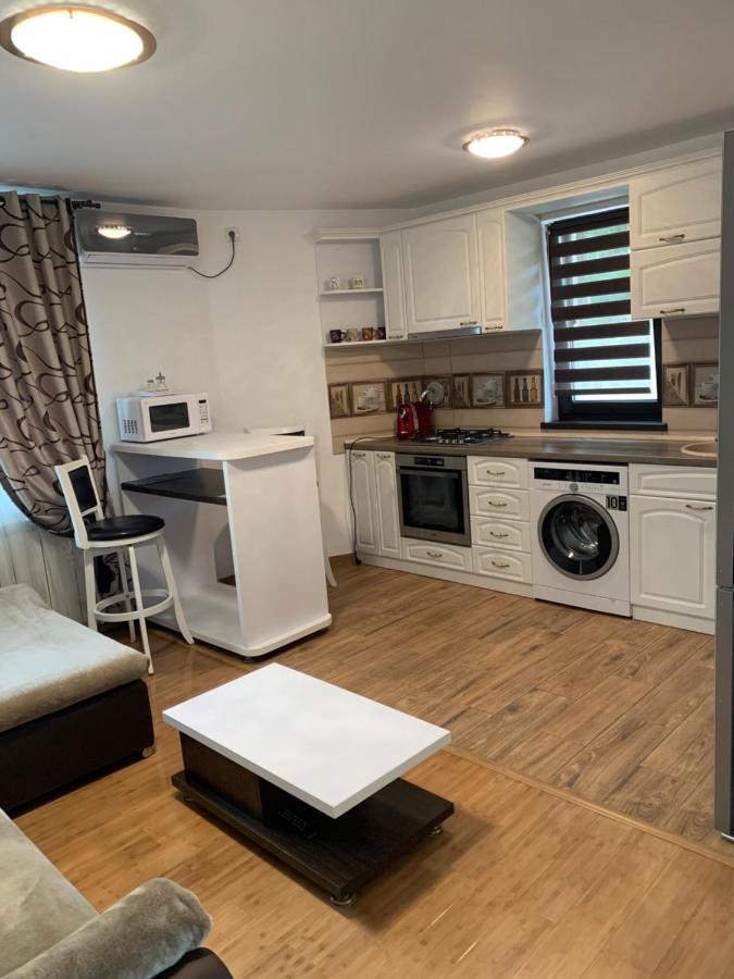 Apartament Micsunelelor Cu Parcare Privata Iasi Exteriér fotografie